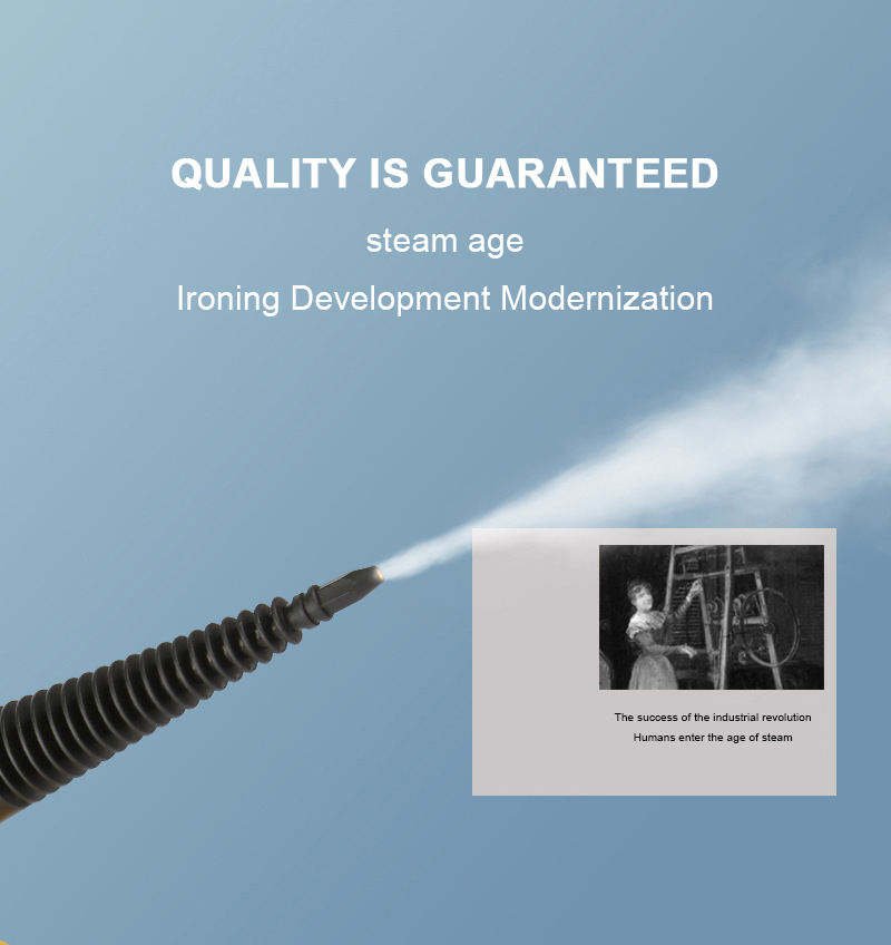 Steam Cleaner